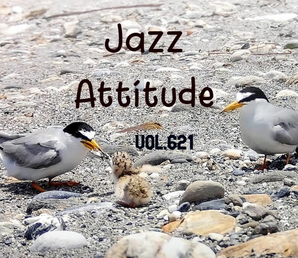 Jazz Attitude Vol. 621